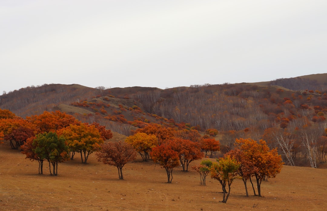 Embracing Nature: The Ultimate Guide to Sustainable Outdoor Travel